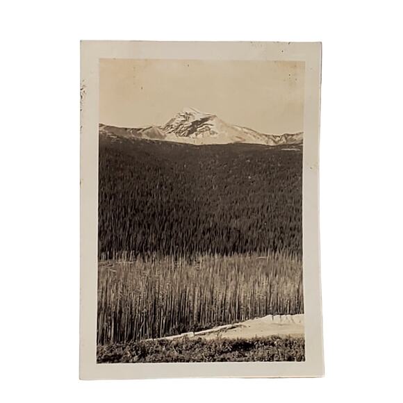 Vtg B&W Photo 1940s Found Yellowstone Park Snowy Top Mountain View Snapshot - Picture 1 of 4
